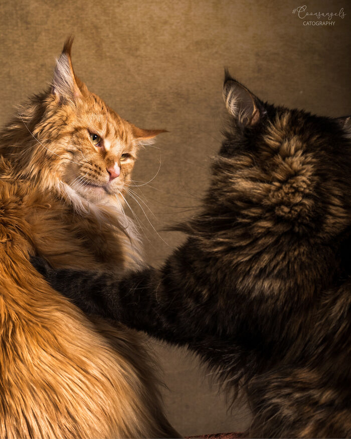 image-20220916132408-12