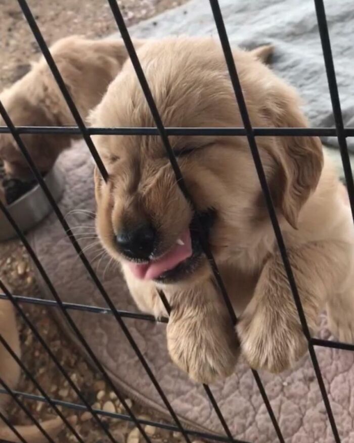 image-20220919135050-7