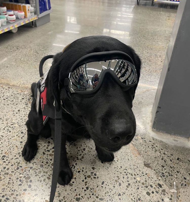 image-20220919135427-13