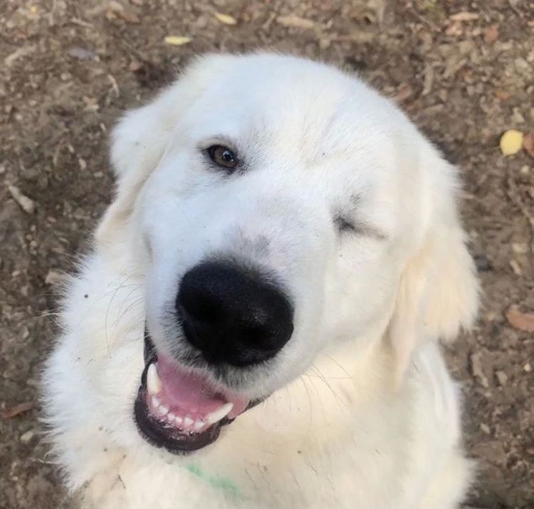 image-20220919135430-14