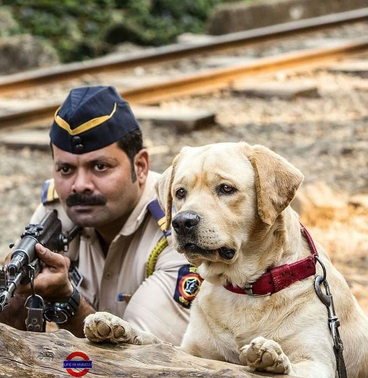 image-20220919135433-15