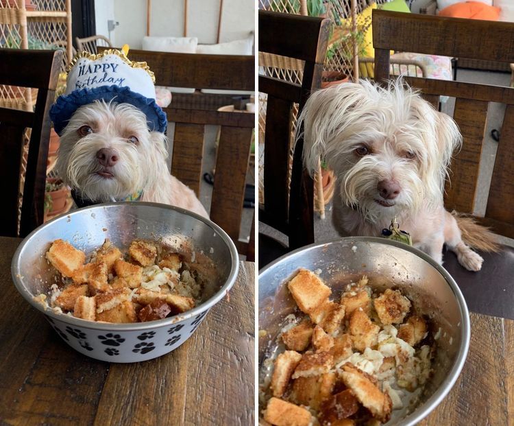 image-20220919135436-16