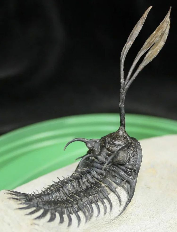 image-20220919221251-2