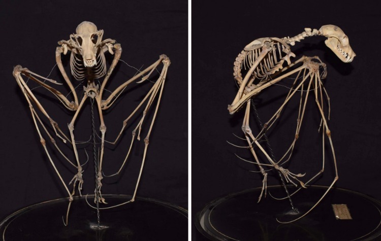 image-20220919221325-11