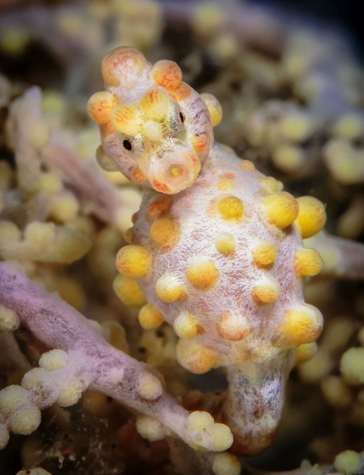 image-20220919221407-14