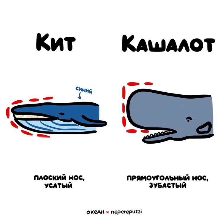 image-20220921123300-16