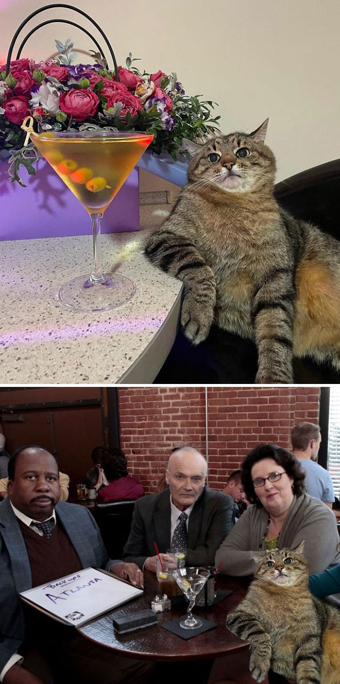 image-20220921164350-8