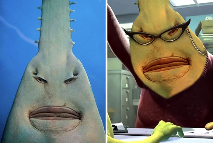 image-20220921164359-10