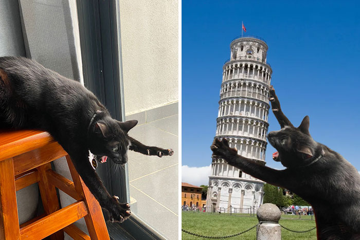 image-20220921164421-16