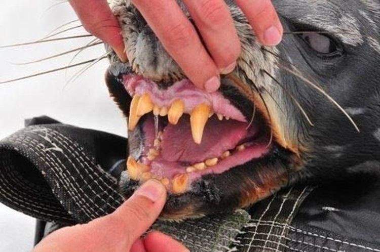 image-20220924162256-1