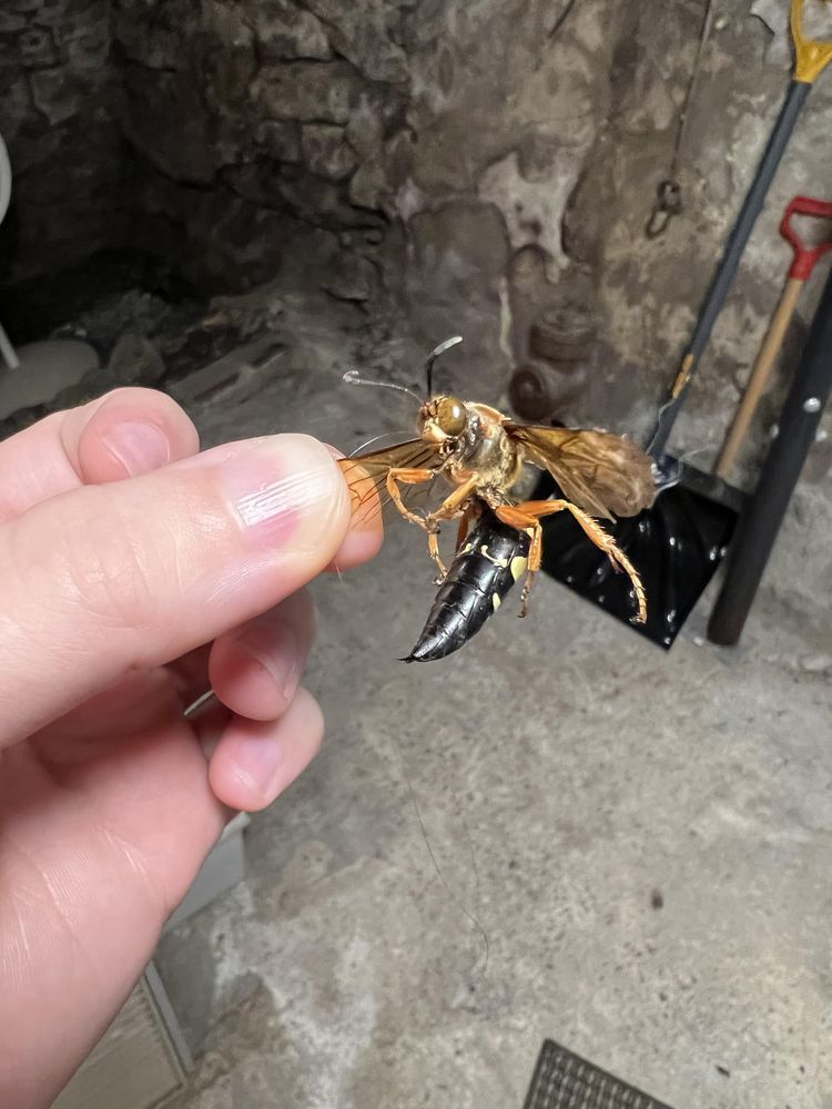 image-20220924162301-3