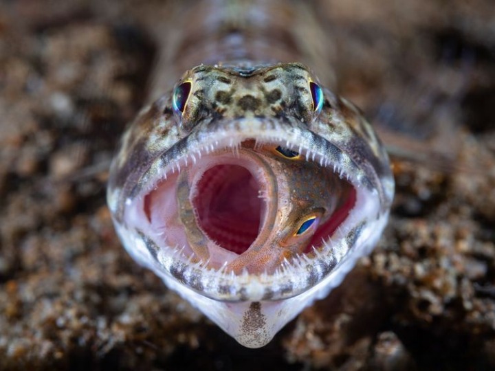 image-20220924162419-12