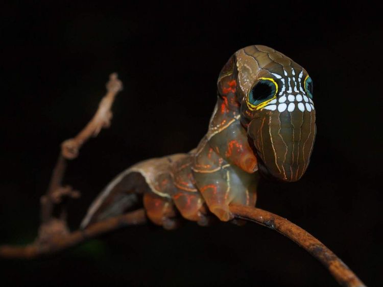 image-20220924162446-13