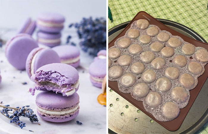 image-20220926114220-20