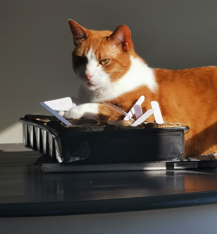 image-20220927131940-2