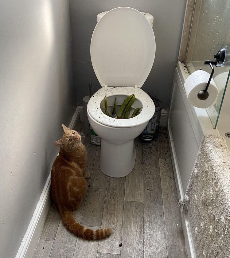 image-20220927131944-3