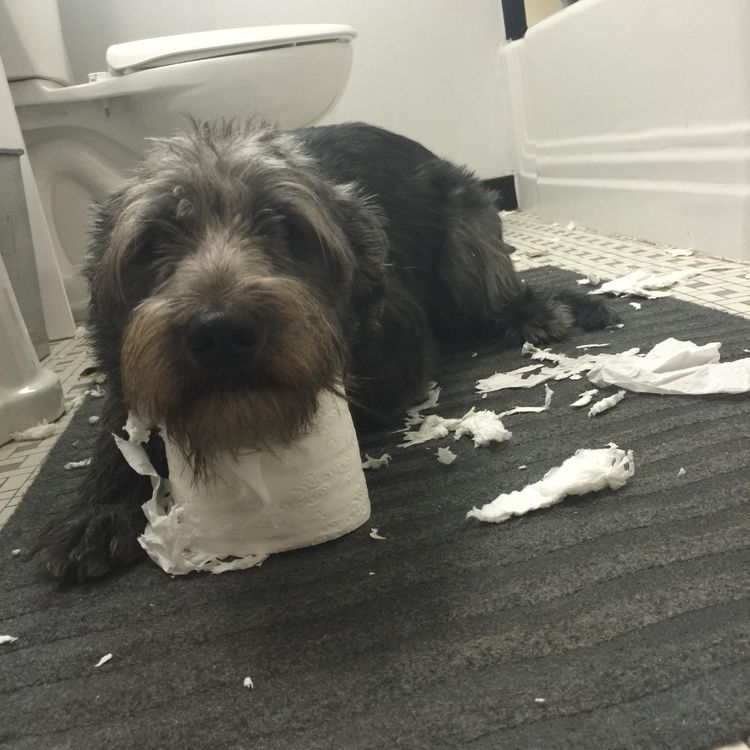 image-20220927131947-4