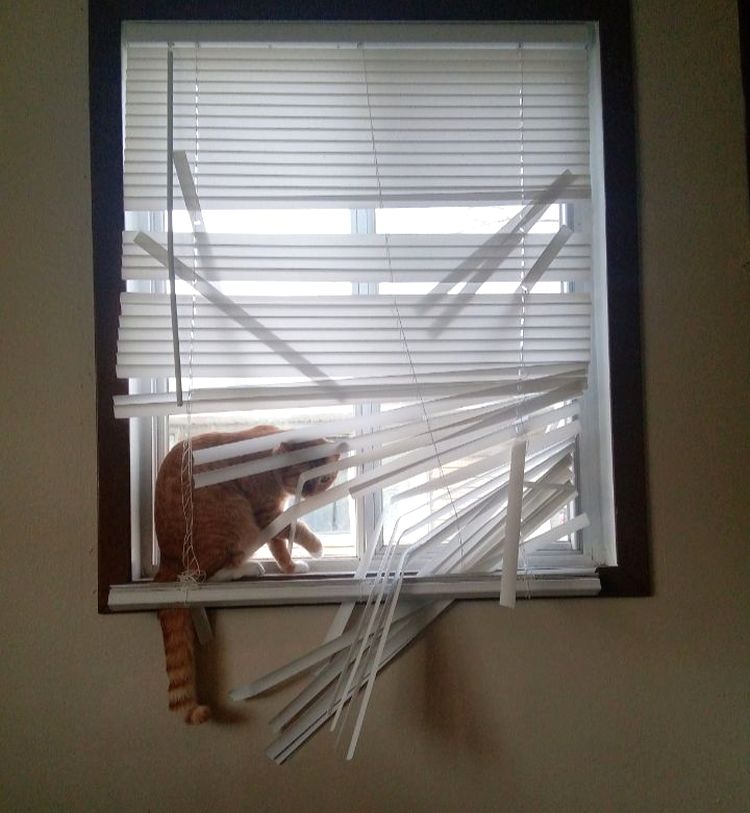 image-20220927131951-5