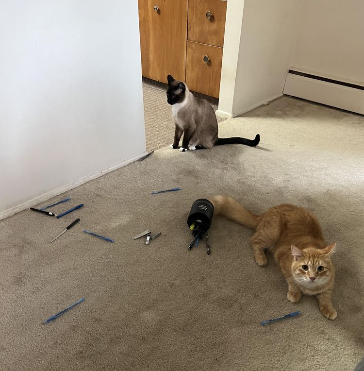 image-20220927132003-6