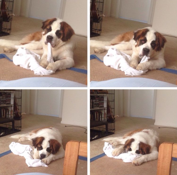 image-20220927132044-8