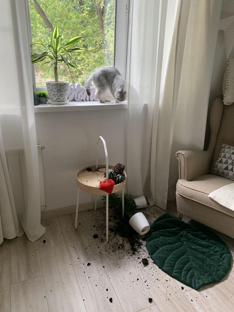 image-20220927132049-9