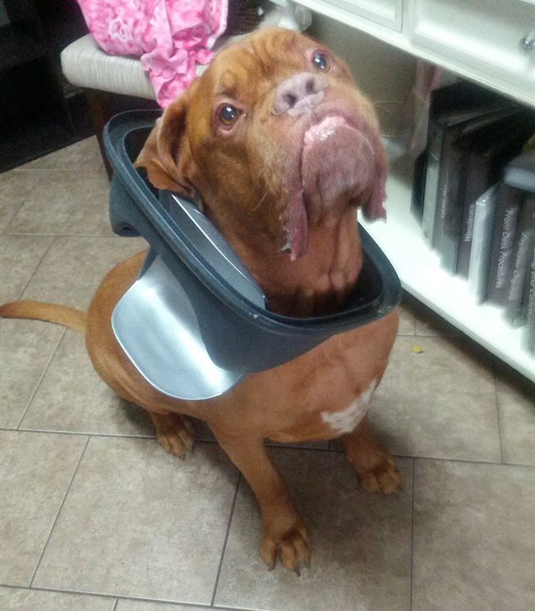 image-20220927132125-11