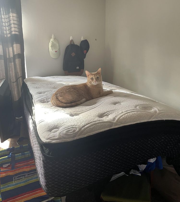 image-20220927132128-12