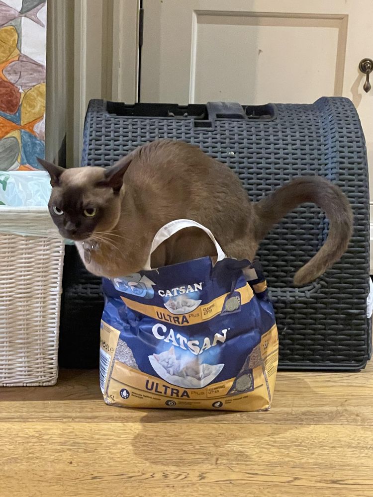 image-20220927132132-13