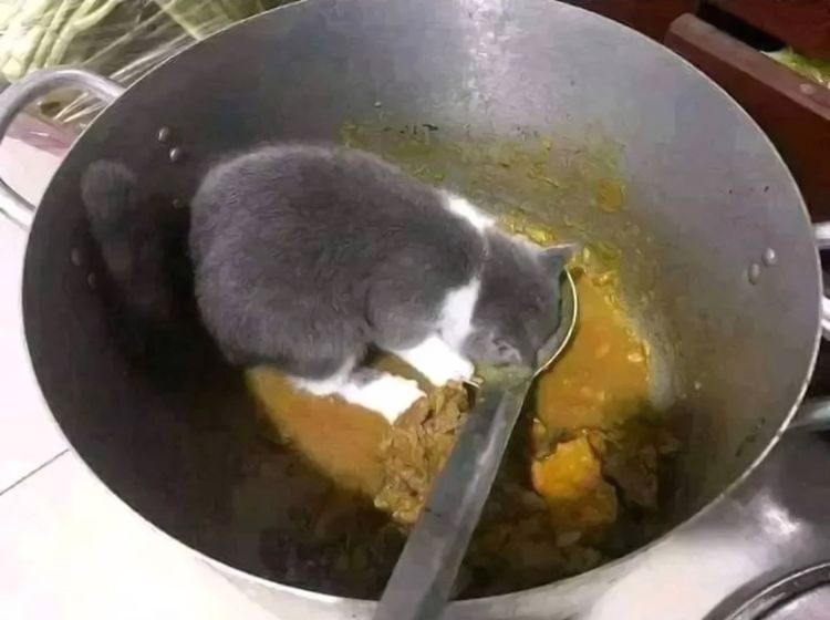 image-20220927132135-14