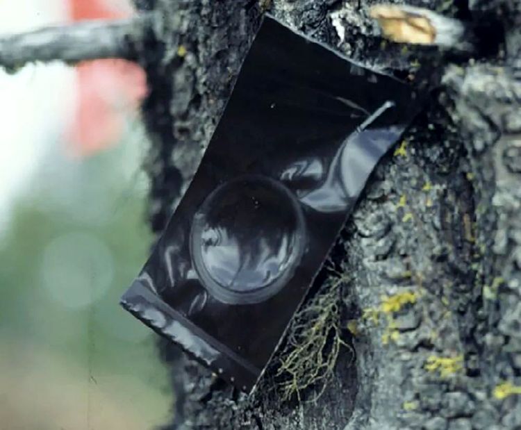 image-20220927144900-5