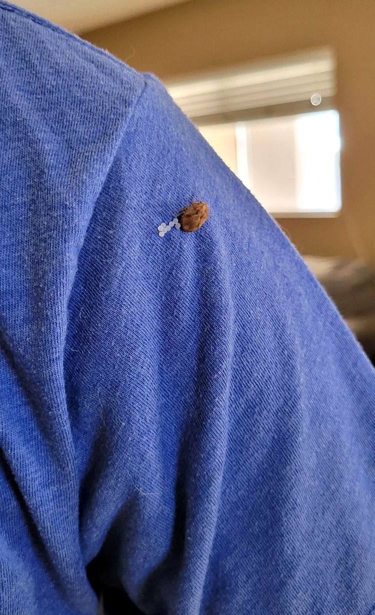 image-20220928104328-4