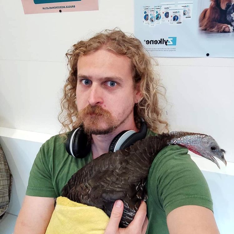 image-20220928104819-8