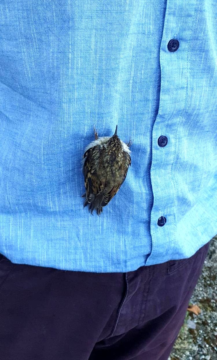 image-20220928104831-11