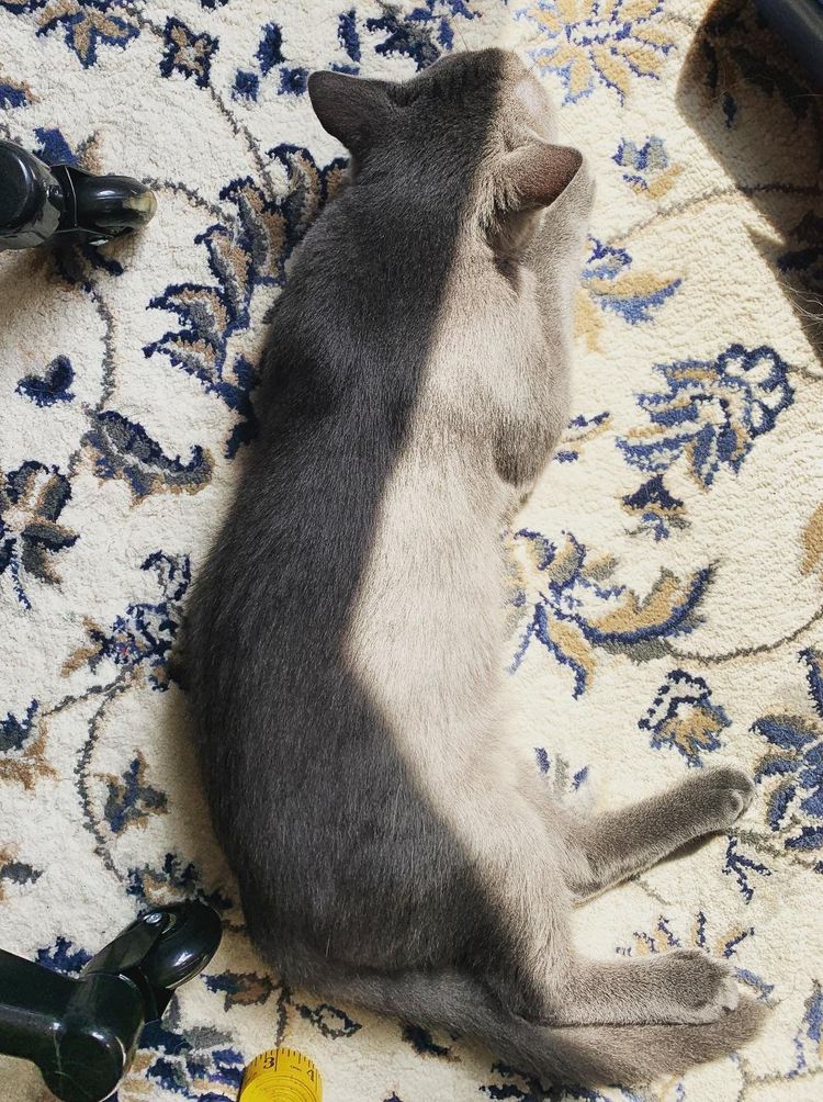 image-20220928104834-12