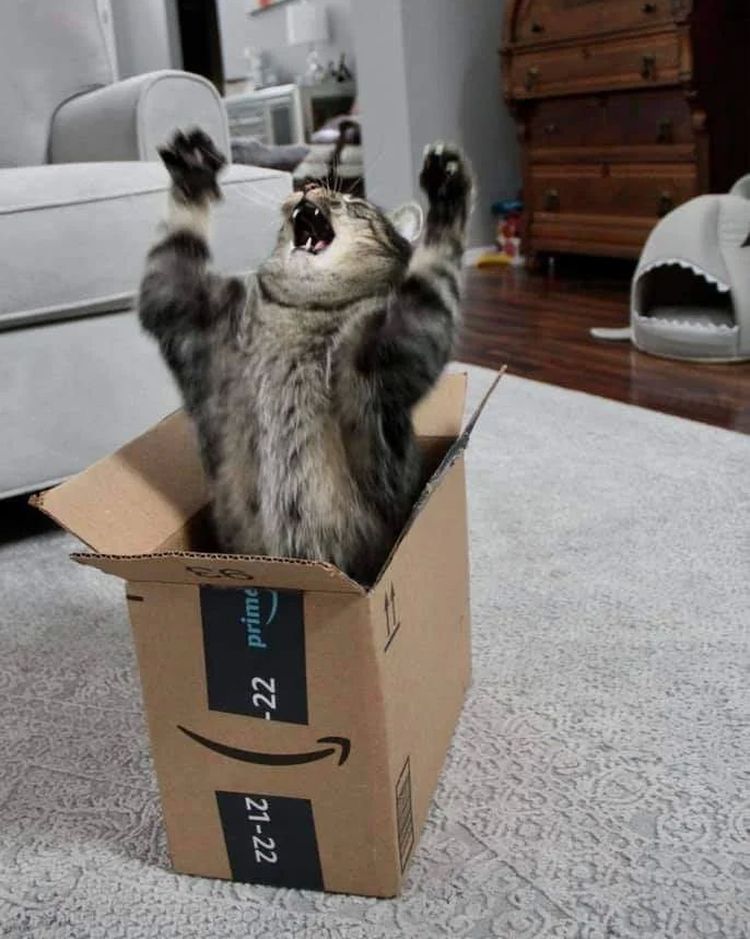 image-20220928120551-2