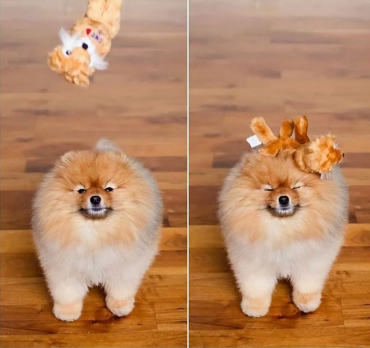 image-20220928120556-4