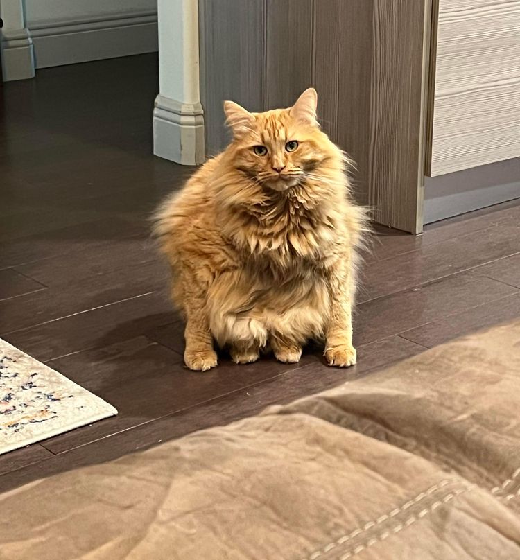 image-20220928120620-11