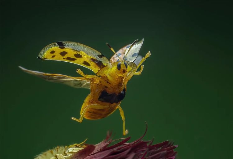 image-20220928120622-12