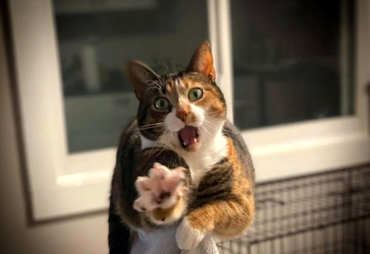 image-20220928120711-14