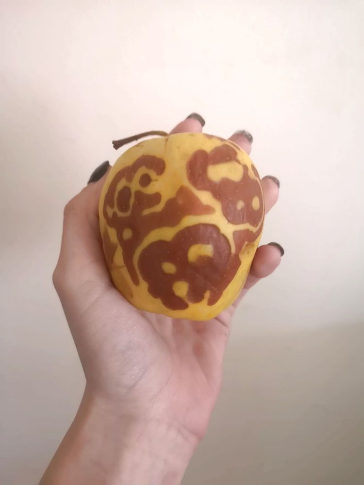 image-20220929123300-3