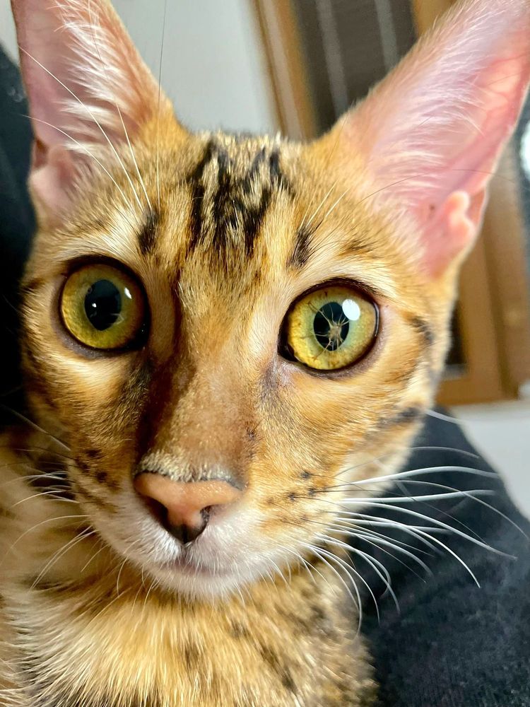 image-20220929123318-7