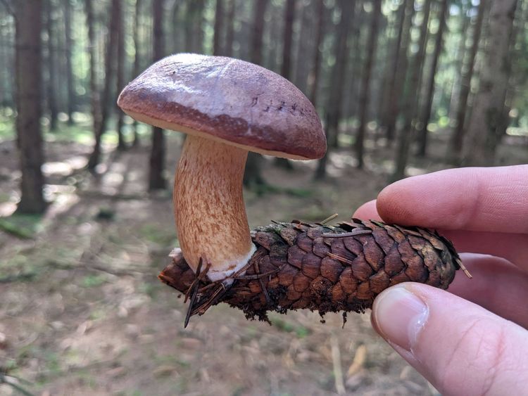 image-20220929123502-8