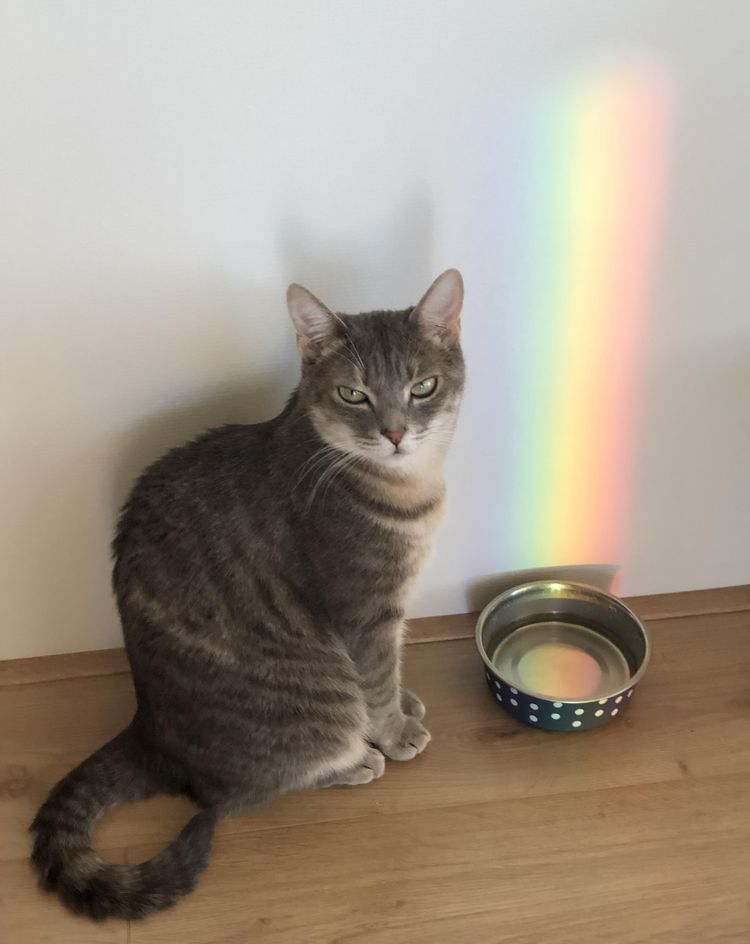 image-20220929123525-12