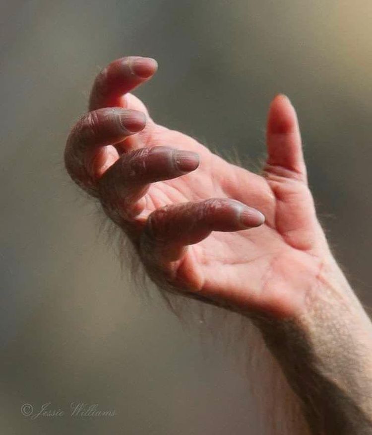 image-20220929123536-14