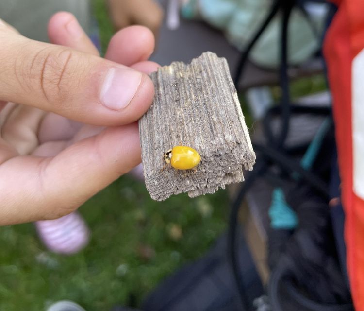 image-20220929182427-8