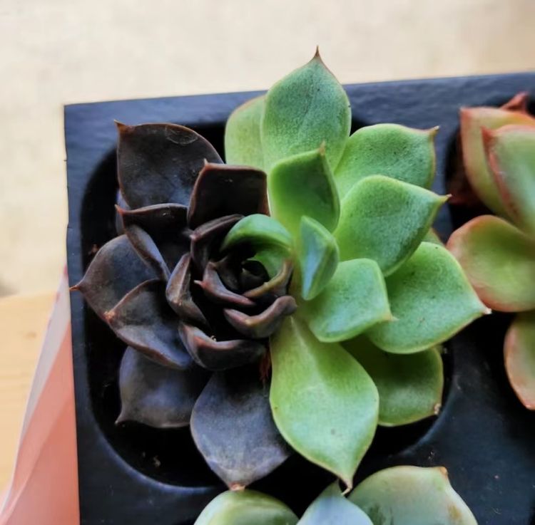 image-20220929182527-9