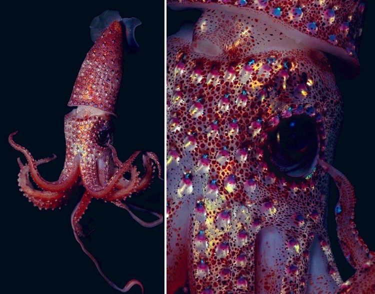 image-20220929182604-13