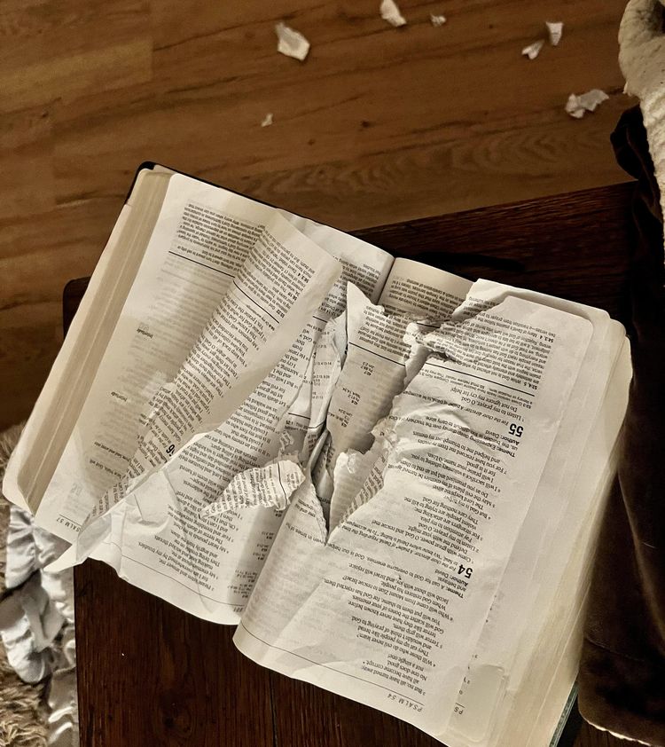 image-20220930144039-2