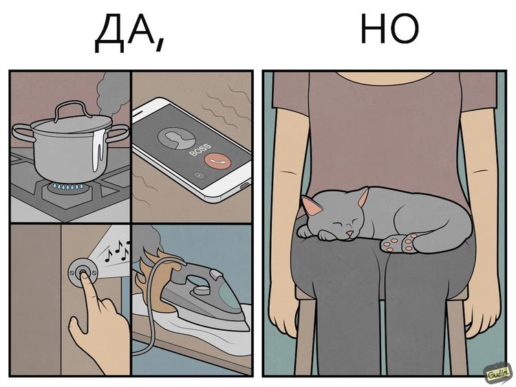 image-20221003113445-1