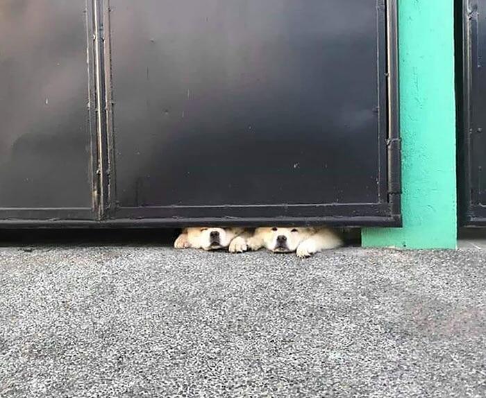 image-20221003123750-6